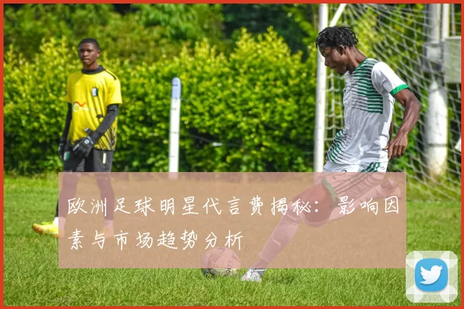 欧洲足球明星代言费揭秘：影响因素与市场趋势分析